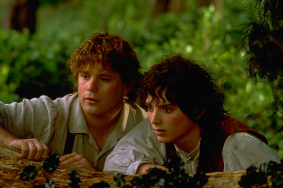 Film The Lord of the Rings: The Fellowship of the Ring