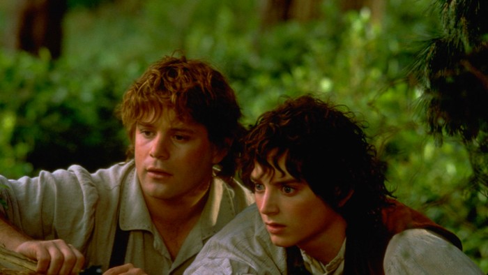 Film The Lord of the Rings: The Fellowship of the Ring