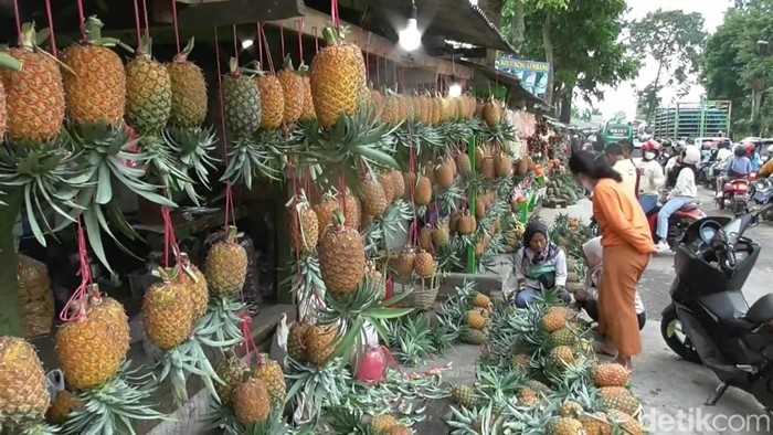 Lokasi penjualan nanas madu di Subang.