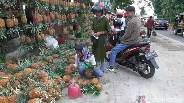 Lokasi penjualan nanas madu di Subang.
