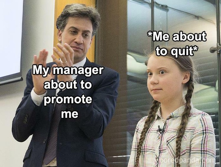 Meme Pekerja Meme Pekerja di Kantor.