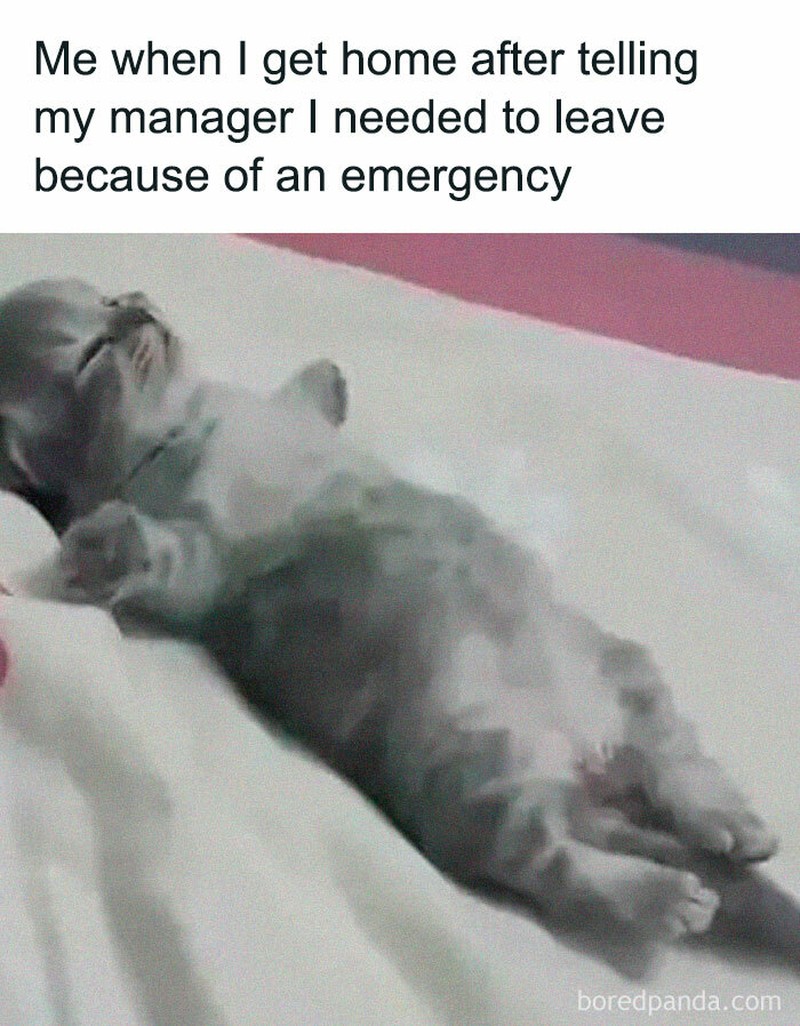 Meme Pekerja di Kantor.