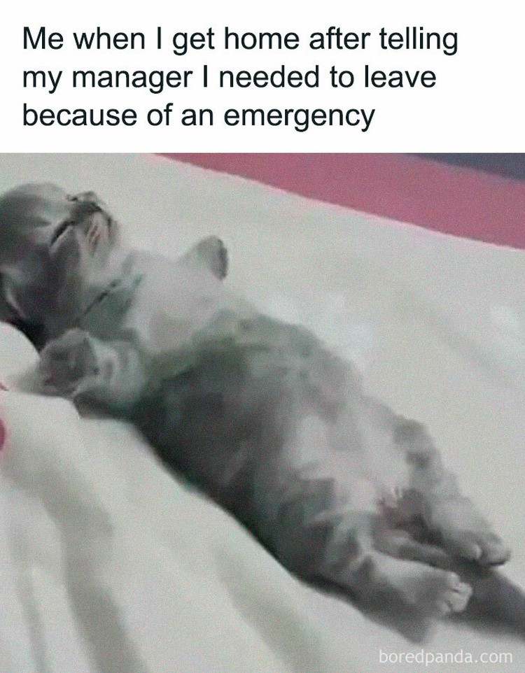 Meme Pekerja Meme Pekerja di Kantor.