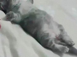 Meme Plus Curhat Orang Kantoran, Siapa yang Relate Nih?