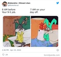 Meme Pekerja di Kantor.