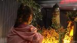 Potret Anak-anak Bermain dengan Dinosaurus di Mal