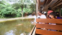 Para cucu Jokowi pun tampak antusias bertemu dengan koleksi satwa dari Bali Safari & Marine Park.