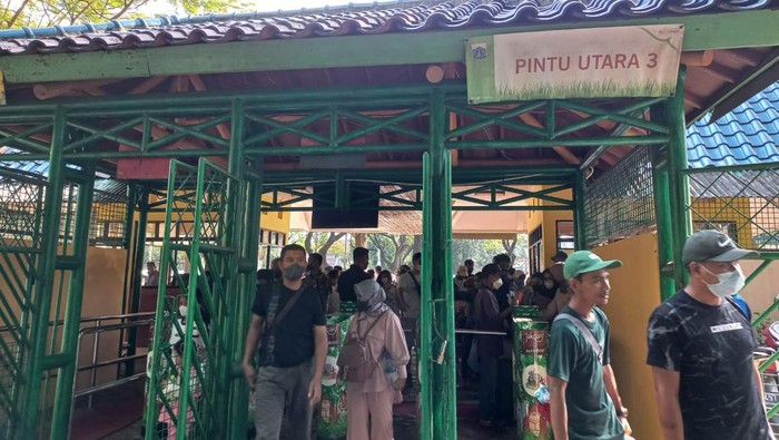Suasana di Ragunan (Anggi-detikcom)