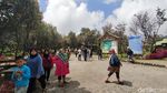 Taman Gunung Papandayan Diserbu Warga Saat Libur Lebaran