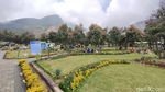 Taman Gunung Papandayan Diserbu Warga Saat Libur Lebaran