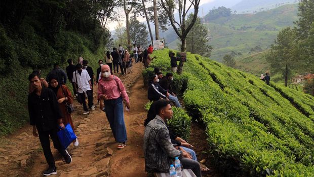 Wisatawan menikmati suasana alam Agrowisata Kebun Teh, Warpat, Puncak Pass, Kabupaten Bogor, Jawa Barat, Sabtu (7/5/2022). Kebun teh merupakan salah satu tujuan wisata di kawasan Puncak bagi warga dalam mengisi libur panjang Lebaran. ANTARA FOTO/Yulius Satria Wijaya/tom.
