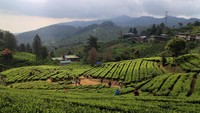 Lansekap pemandangan alam yang mempesona sanggup membuat pengunjung betah berlama-lama.