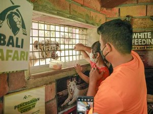 Intip Keseruan Libur Lebaran Ala Walkot Bobby Nasution