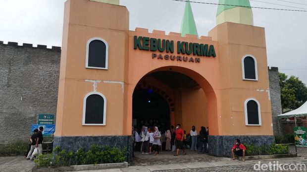 Kebun Kurma Purwosari, Pasuruan