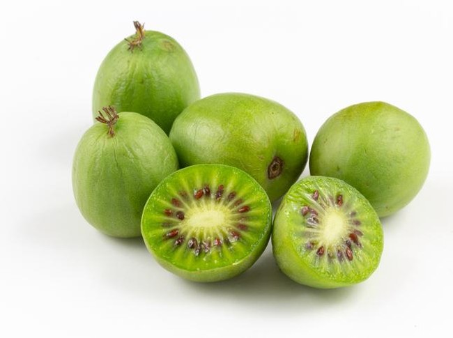 Fakta Kiwi Berries