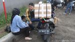 Kucing Persia Asal Cilacap Ini Ikutan Mudik Lho