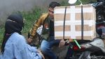 Kucing Persia Asal Cilacap Ini Ikutan Mudik Lho
