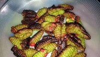 Berniat ingin membuat kue mirip ulat yang lucu, cetakan dan suhu yang salah menghasilkan kue yang menjijikan. Kue kering berbentuk ulat ini justru tampak seperti ulat sagu yang terlalu lama terjemur. Foto: Twitter/wkwkland_real