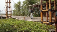 Jembatan Gantung