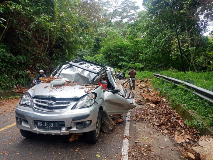 Mobil tertimpa pohon di Bengkulu Tengah
