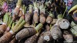 Borong Oleh-oleh Khas Bogor, Ada Talas hingga Manisan Buah