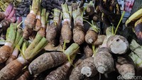 Kamu bisa membeli aneka makanan hasil bumi Bogor. Ada talas, pisang, bengkuang hingga manisan buah khas Bogor. Foto: detikFood/Devi S. Lestari