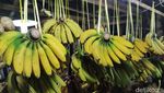 Borong Oleh-oleh Khas Bogor, Ada Talas hingga Manisan Buah