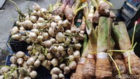 Nah seperti ini penampakan talas Bogor yang super pulen. Ada dua jenis talas yakni talas putih dan talas merah. Talas bisa dimasak dengan cara digoreng ataupun dikukus Foto: detikFood/Devi S. Lestari