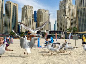 Orang-orang Kaya Rusia Lari ke Dubai untuk Hindari Sanksi Barat