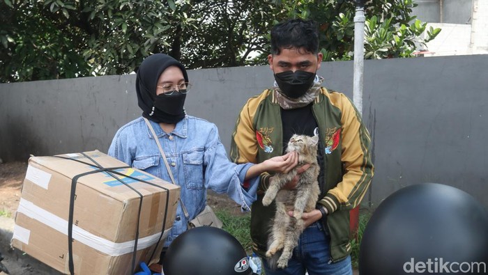 Pemudik membawa kucing dari kampung halamannya.