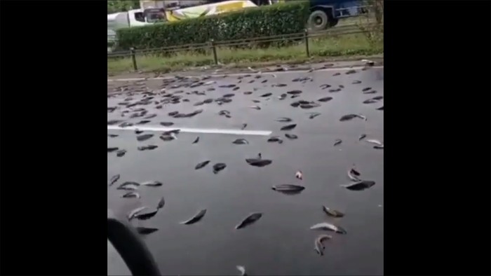 Pikap muatan ikan kecelakaan di tol arah Merak (tangkapan layar)