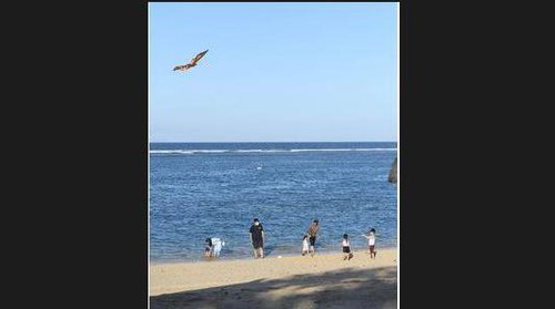 Presiden  Jokowi main layangan bersama 4 cucunya di Pantai Nusa Dua, Badung, Bali, Jumat 6 mei 2022