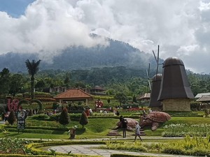 The Blooms Garden Taman Bunga di Tabanan yang Instagramable Banget