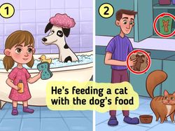 Yuk Uji Kejelian Mata Pada Deretan Gambar Ini