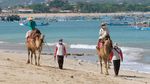 Menikmati Indahnya Pantai Kelan Bali Sambil Naik Unta