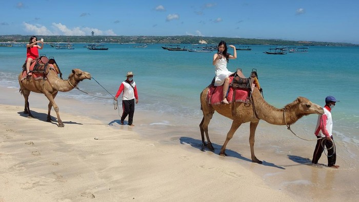 Wisatawan menikmati suasana pantai dengan menaiki unta saat liburan di Pantai Kelan, Badung, Bali, Sabtu (7/5/2022). Penyewaan wahana unta di objek wisata tersebut mengalami peningkatan pada saat liburan Lebaran dengan harga sewa Rp 150 ribu hingga Rp 200 ribu sesuai durasi yang telah ditentukan. ANTARA FOTO/Nyoman Hendra Wibowo/tom.
