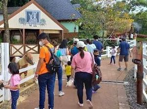Balai Besar Pemdes Malang Pantau Penerapan PPKM 4 Tempat Wisata Jatim