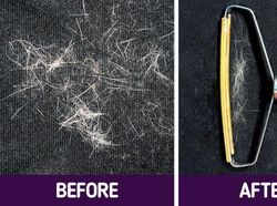 Deretan Gadget Rumah Tangga Lucu di Olshop