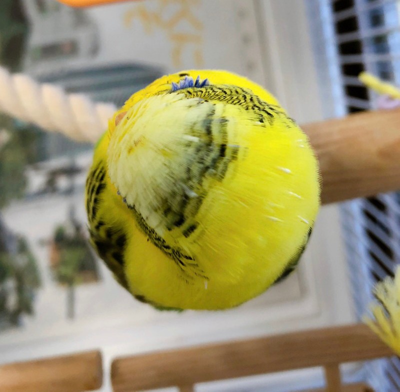 fotoinet Kumpulan Foto Ilusi yang Menipu Mata