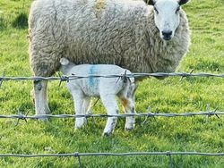 Kumpulan Foto yang Menipu Mata dan Membingungkan