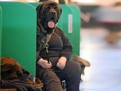 Kumpulan Foto yang Menipu Mata dan Membingungkan