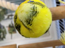 Kumpulan Foto yang Menipu Mata dan Membingungkan