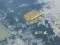 Kumpulan Foto yang Menipu Mata dan Membingungkan