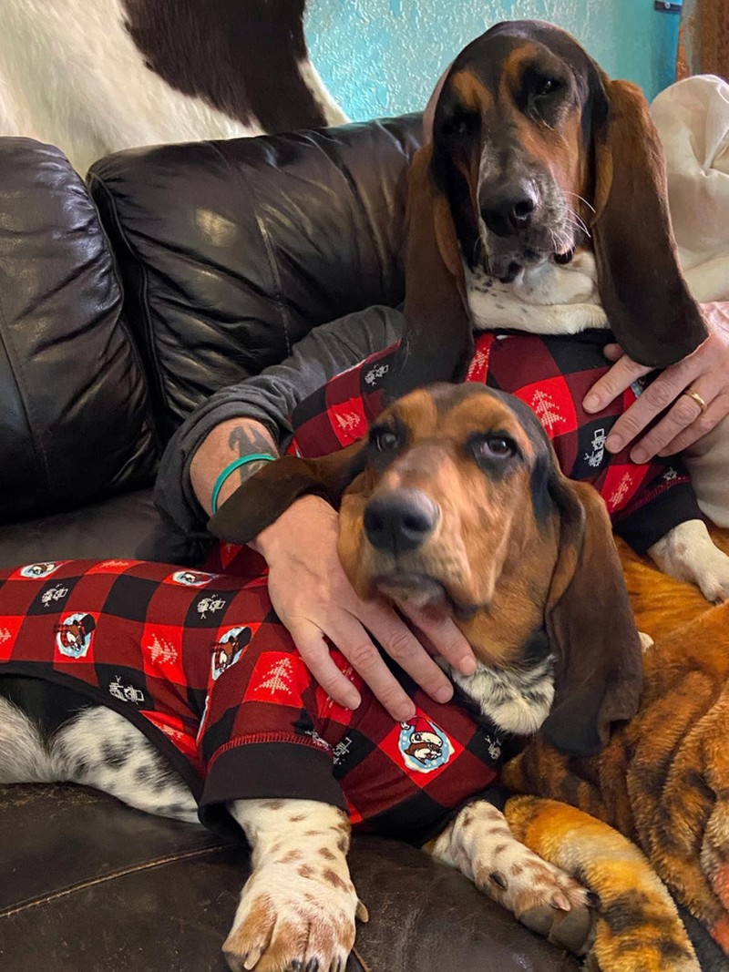 fotoinet Kumpulan Foto Ilusi yang Menipu Mata