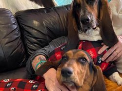 Kumpulan Foto yang Menipu Mata dan Membingungkan