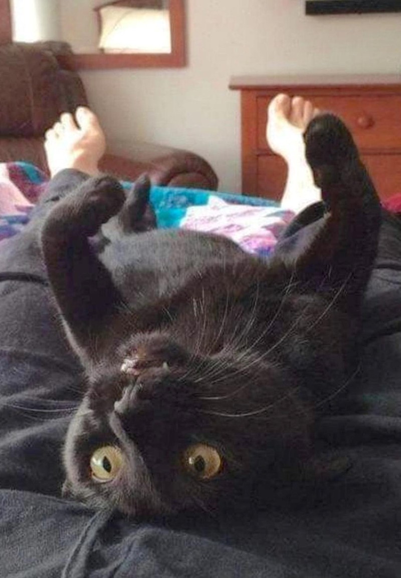 fotoinet Kumpulan Foto Ilusi yang Menipu Mata