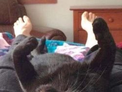 Kumpulan Foto yang Menipu Mata dan Membingungkan