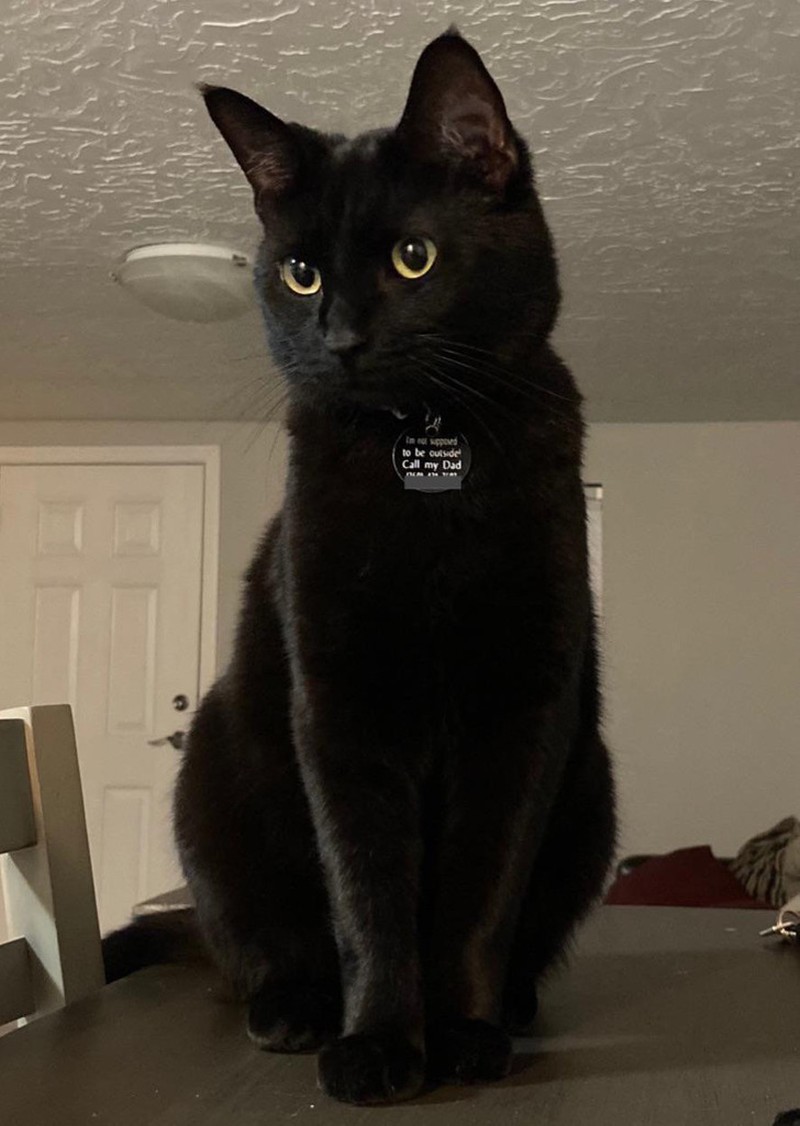 fotoinet Kumpulan Foto Ilusi yang Menipu Mata