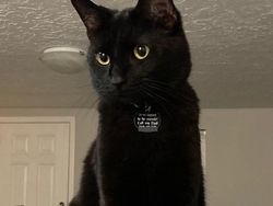 Kumpulan Foto yang Menipu Mata dan Membingungkan