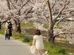 Kumpulan Foto yang Menipu Mata dan Membingungkan